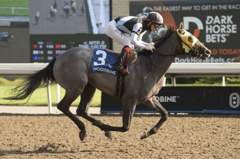 Baksheesh and Kazushi Kimura winning Sunday's Muskoka Stakes.