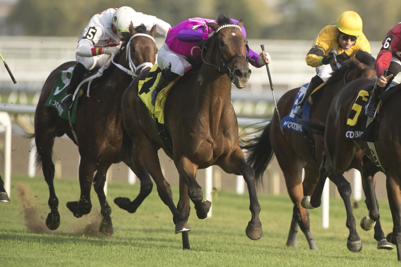 Banff wins Lake Superior thriller - Woodbine Racetrack