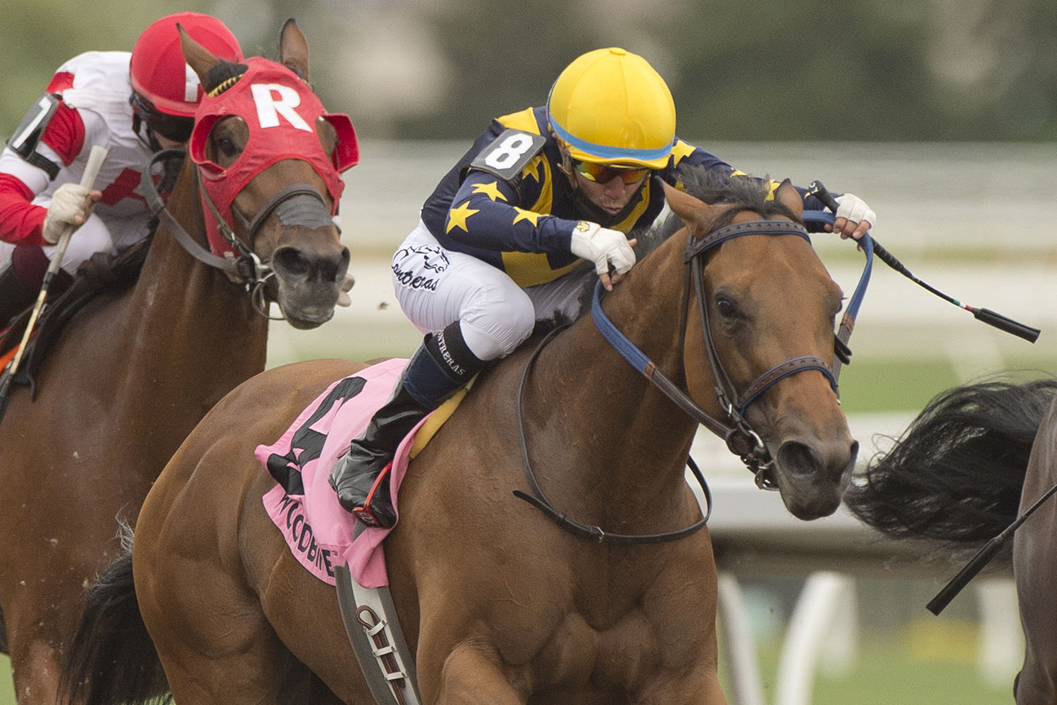 Boardroom and jockey Luis Contreras winning the $150,000 Whimsical Stakes (Grade 3) on Saturday, June 19 at Woodbine Racetrack. (Michael Burns Photo)