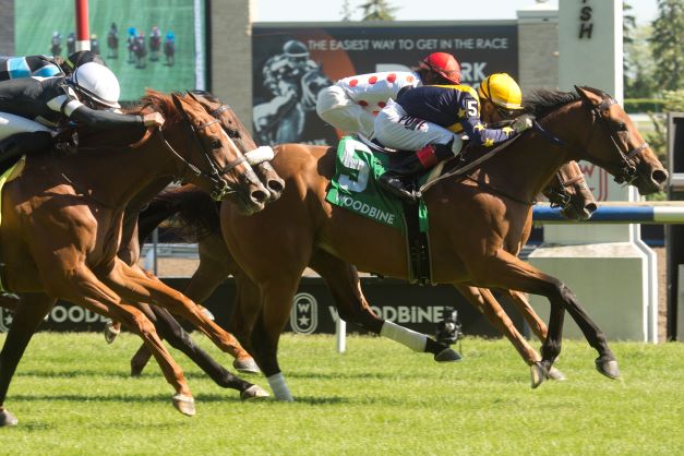 Boardroom and Rafael Hernandez timed their finish perfectly on the E.P. Taylor Turf to capture the Grade 2 Royal North Stakes at Woodbine on Saturday, June 4, 2022. (Michael Burns Photo)
