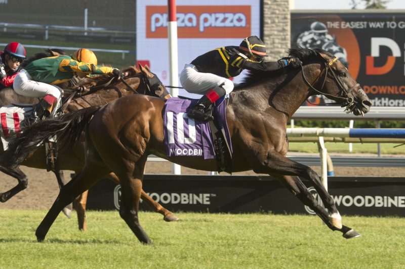 Bound for Nowhere and jockey Pablo Morales winning the Highlander Stakes on July 2 2022 at Woodbine. (Michael Burns Photo)