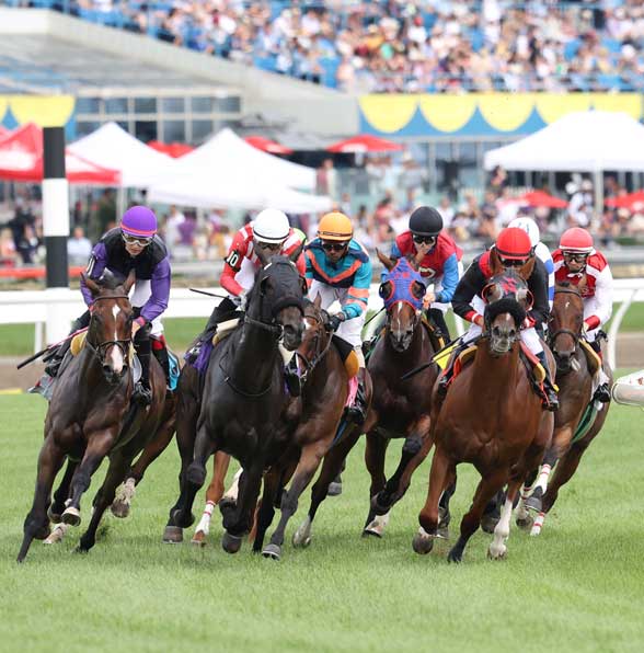 Breeders Stakes with Grandstand at the background