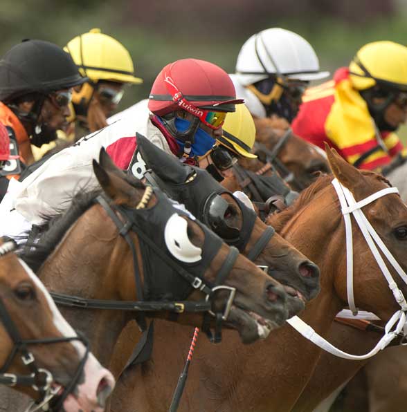 Breeders' Stakes Race action