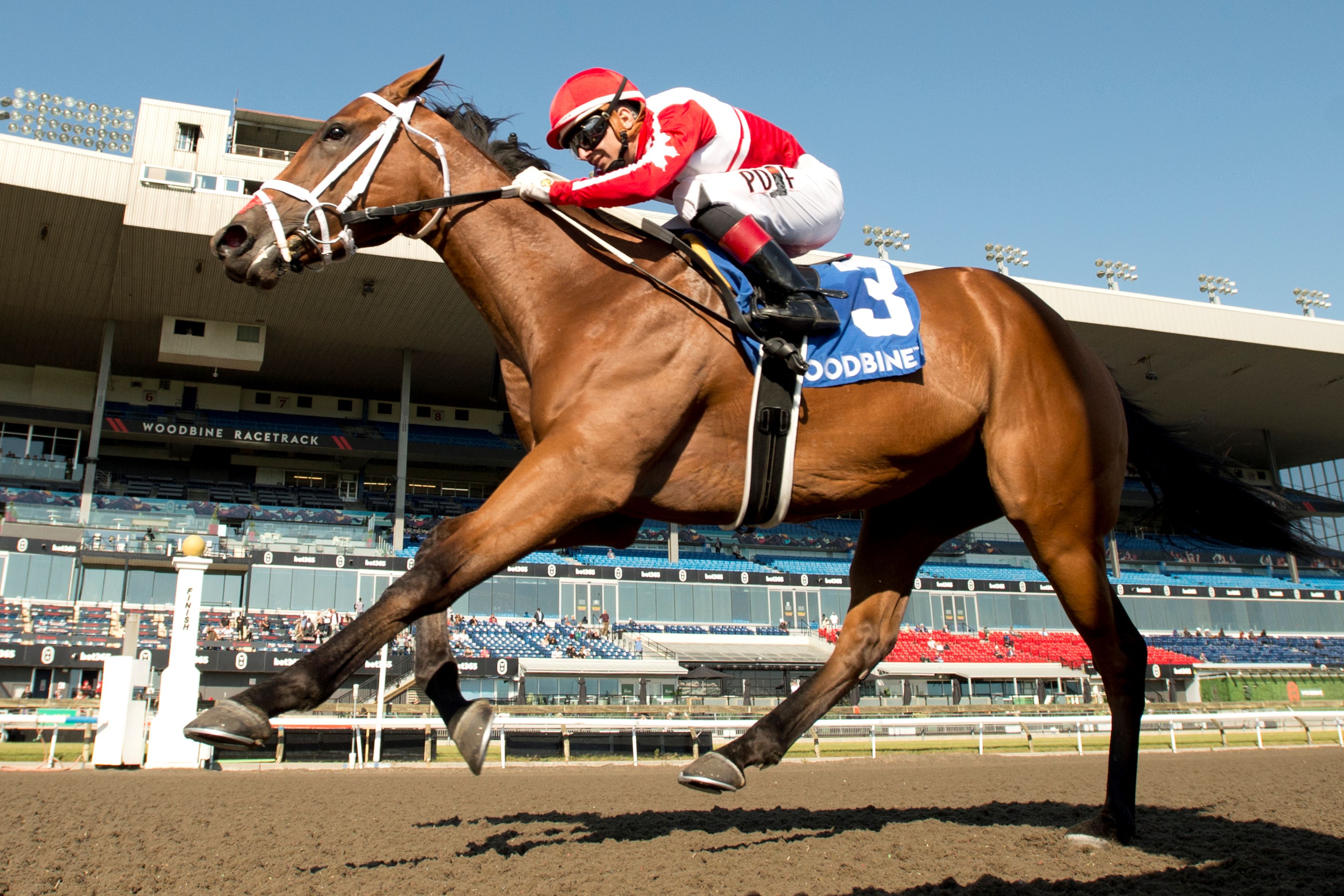 Brengungirl (Michael Burns Photo)