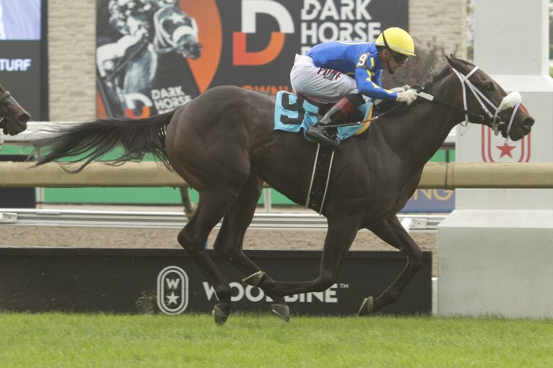 Airosa winning the Catch a Glimpse Stakes on August 20, 2023 at Woodbine (Michael Burns Photo)