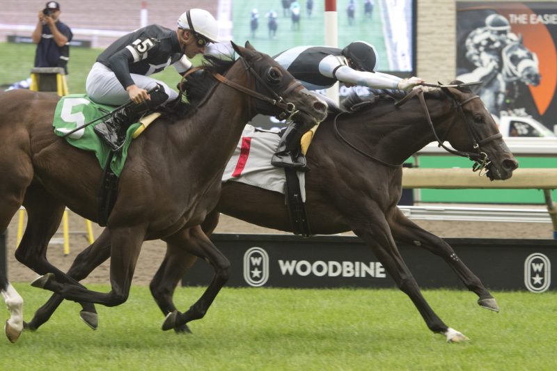 Golden Canary and jockey Sahin Civaci winning the Soaring Free Stakes on August 20, 2023 at Woodbine (Michael Burns Photo)