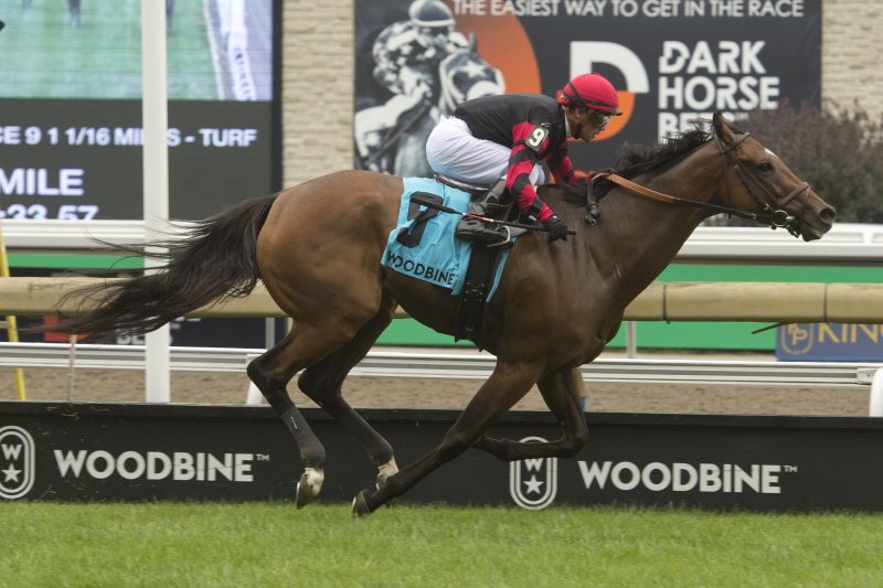 Miss Dracarys and jockey Javier Castellano winning the Dance Smartly Stakes on August 20, 2023 at Woodbine (Michael Burns Photo)