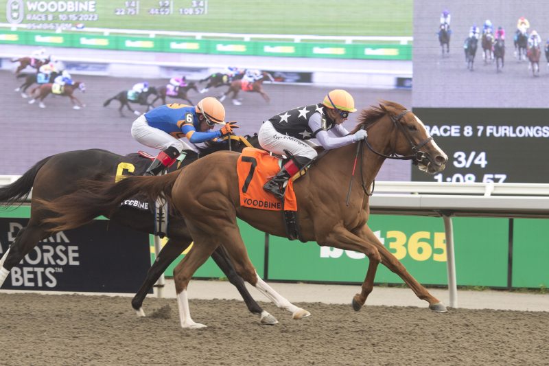 A Little Frisky and jockey Ryan Munger winning the Glorious Song Stakes on October 15, 2023 at Woodbine (Michael Burns Photo)
