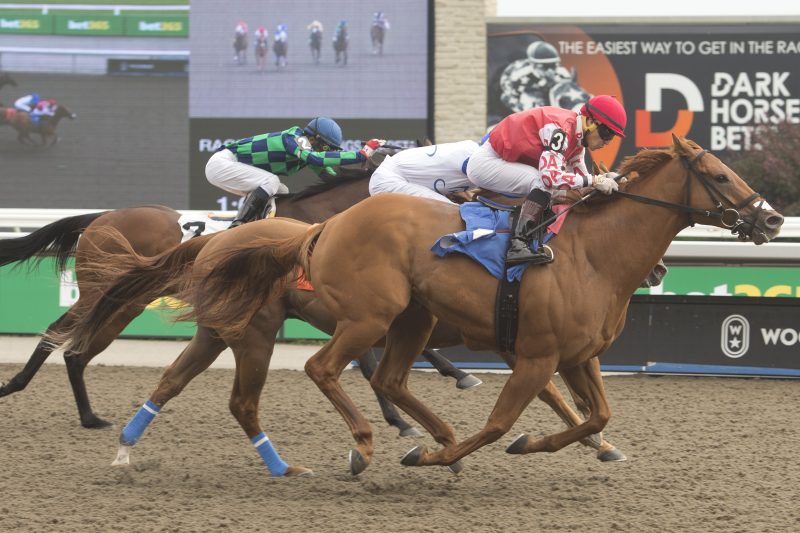 Red River Rebel and jockey Jose Campos winning Race 7 on August 25, 2023 at Woodbine (Michael Burns Photo)