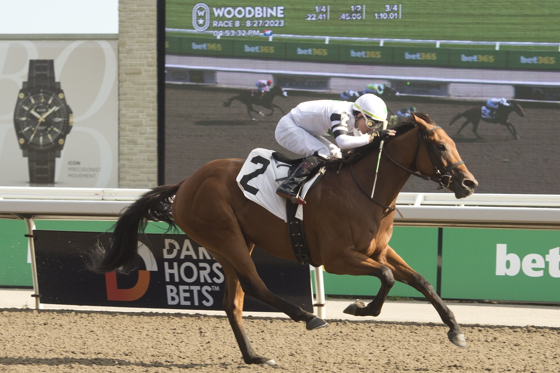 Rapid Test and jockey Kazushi Kimura winning the Elgin Stakes on August 27, 2023 at Woodbine (Michael Burns Photo)