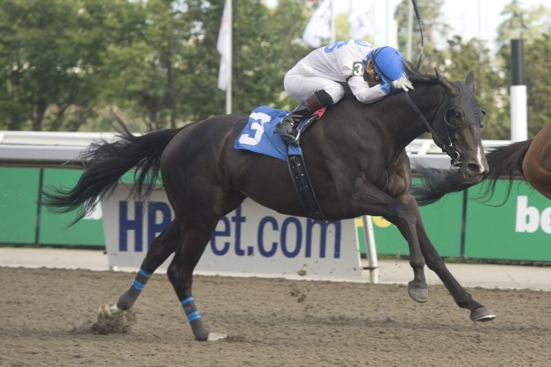 Souper Sinclair and jockey Jose Campos winning the Algoma Stakes on August 27, 2023 at Woodbine (Michael Burns photo)