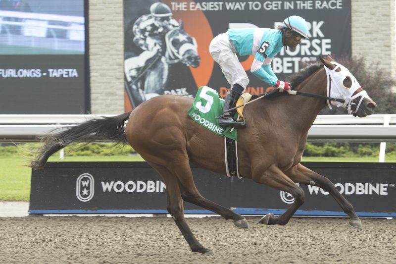 Pipit and jockey Patrick Husbands winning the Victoria Stakes on July 16, 2023 at Woodbine (Michael Burns Photo)