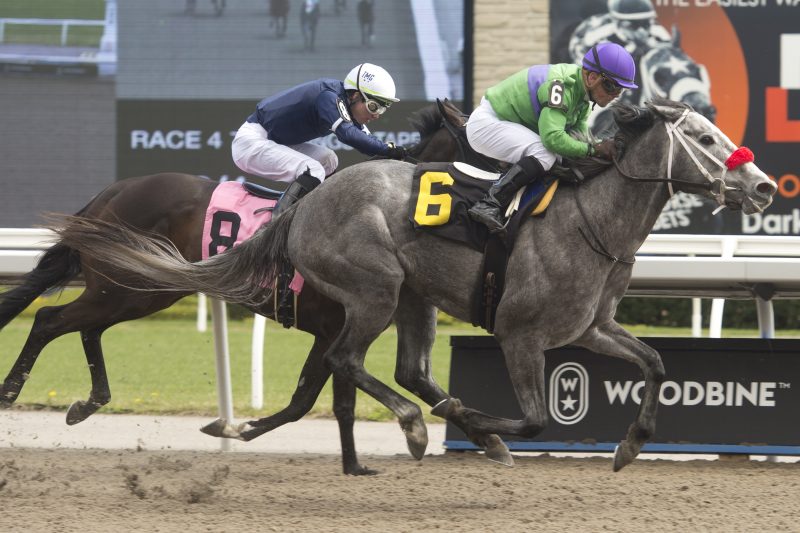 Bedazzle Me and jockey Justin Stein winning Race 4 on May 5, 2023 (Michael Burns Photo)