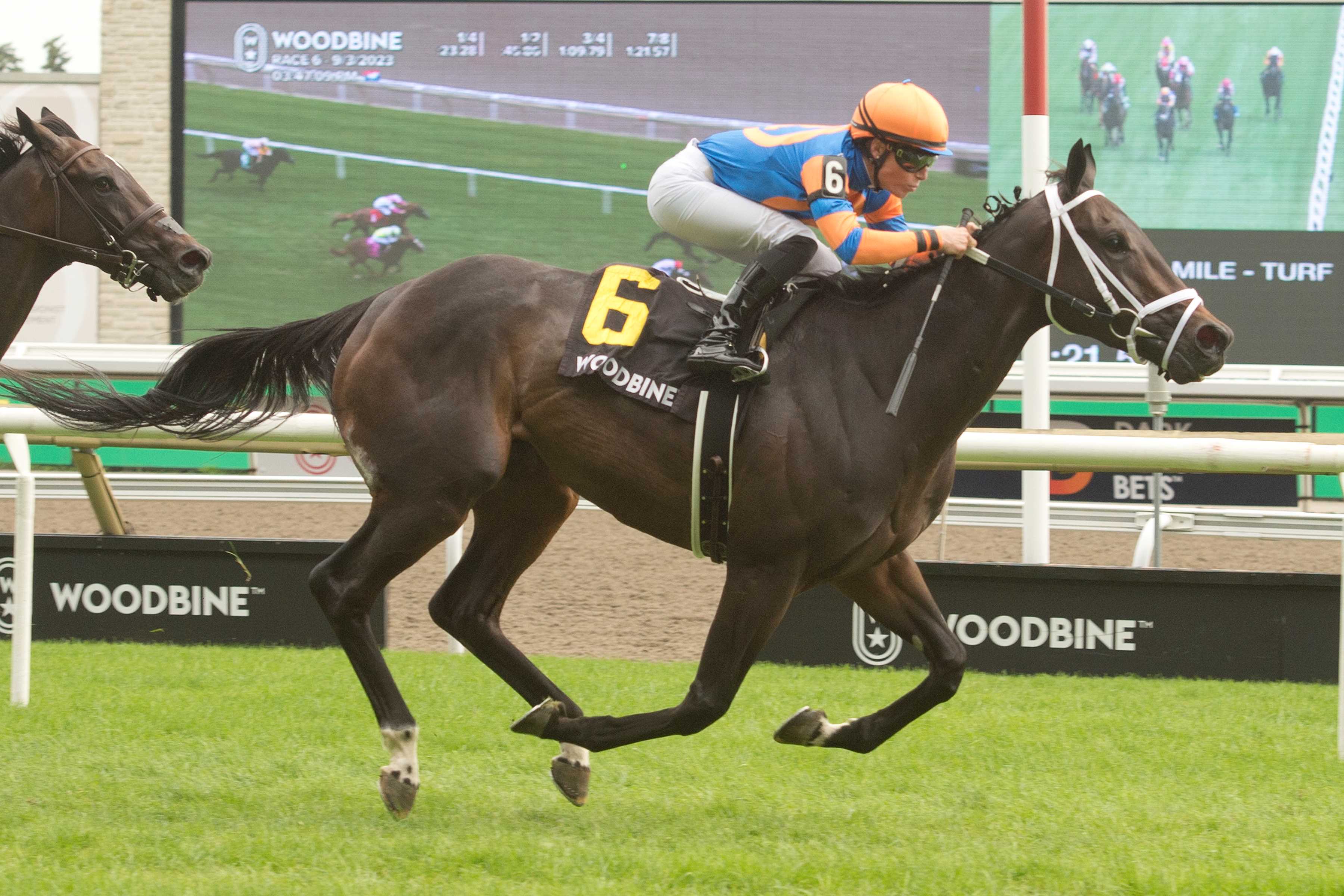 Love to Shop and jockey Emma-Jayne Wilson winning the Toronto Cup Stakes on July 22, 2023 at Woodbine (Michael Burns Photo)