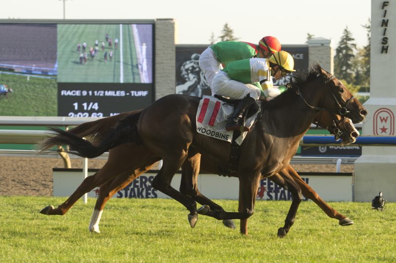 Touch'n Ride and jockey Kazushi Kimura winning the Breeder's Stakes on October 1, 2023 at Woodbine (Michael Burns Photo)