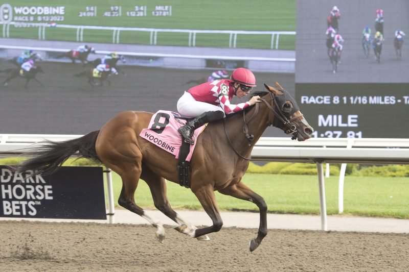 Me and My Shadow and jockey Emma-Jayne Wilson winning the Bison City Stakes on August 13, 2023 at Woodbine (Michael Burns Photo)