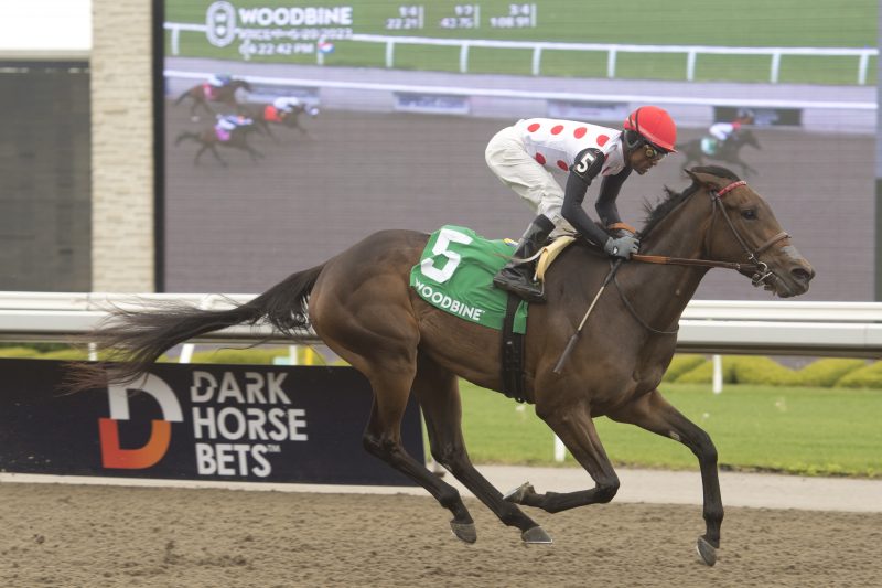 Ryder Ryder Ryder and jockey Patrick Husbands winning the Ruling Angel Stakes on May 20, 2023 at Woodbine (Michael Burns Photo)