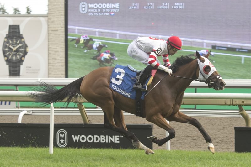 Tito's Calling and jockey Sahin Civaci winning the Wonder Where Stakes on September 10, 2023 at Woodbine (Michael Burns Photo)