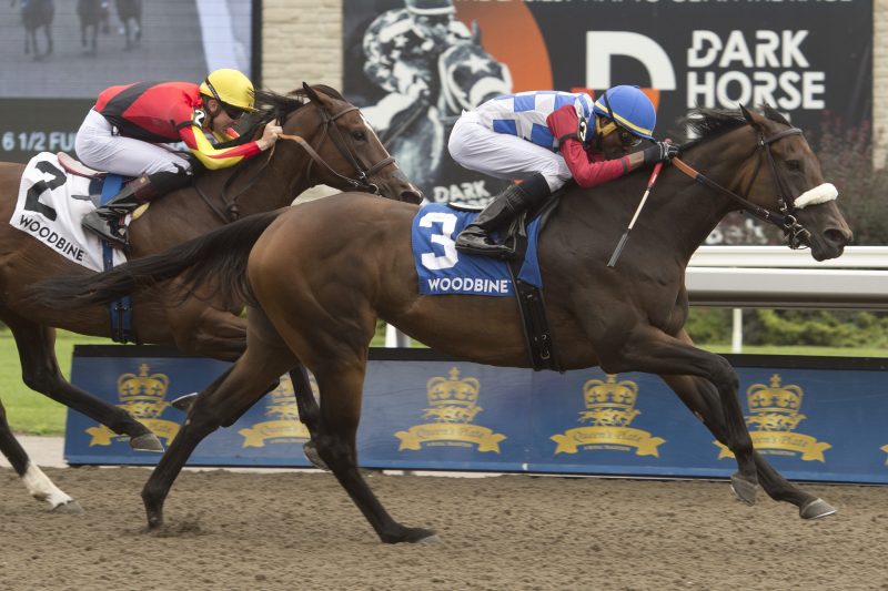 Jockey Jason Hoyte guides Hazelbrook to victory in the $125,000 dollar Sweet Briar Too Stakes. Michael Burns Photo