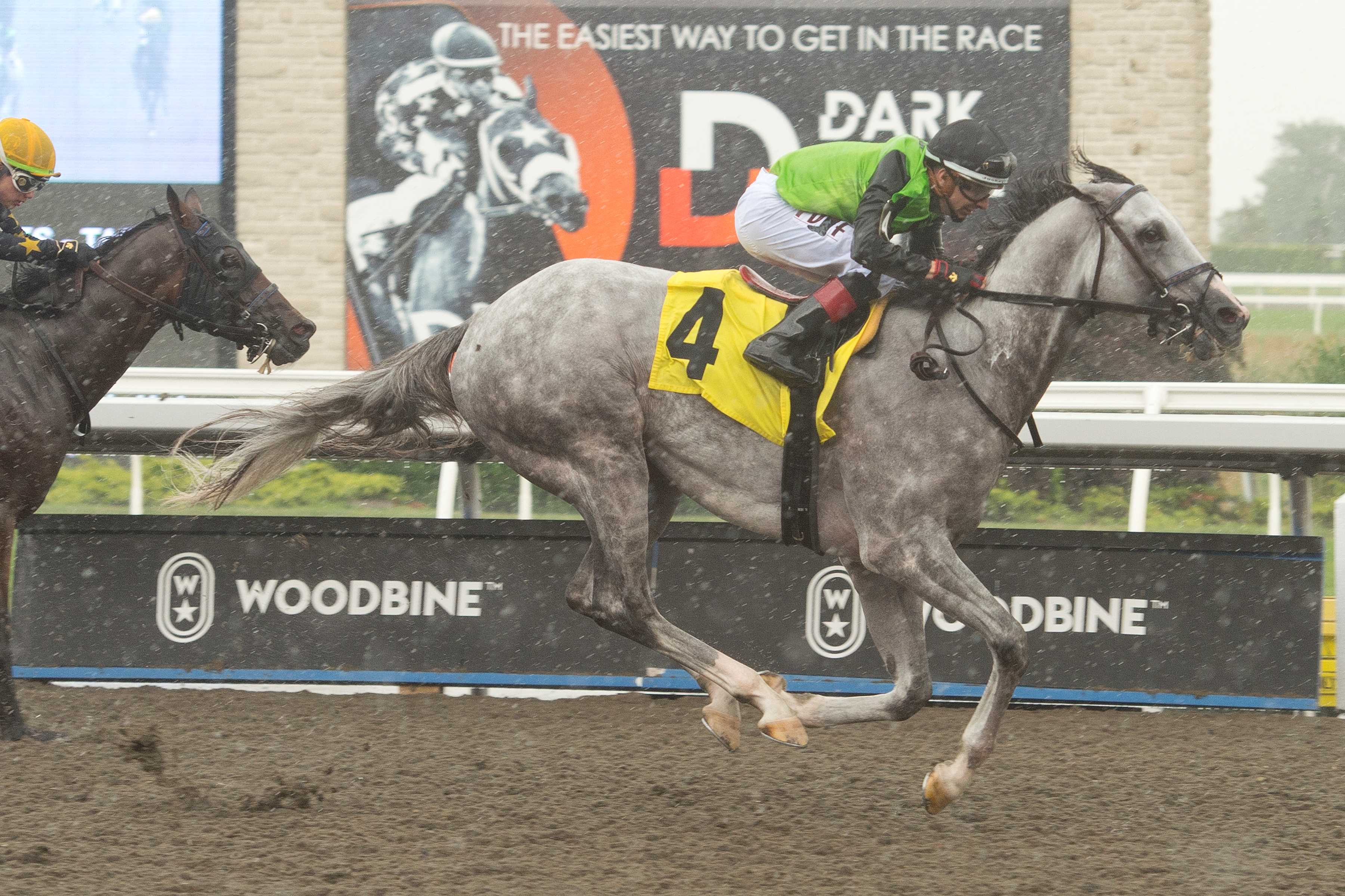 Tyson and jockey Rafael Hernandez winning the Dominion Day Stakes (G3) on July 1, 2023 at Woodbine (Michael Burns Photo)