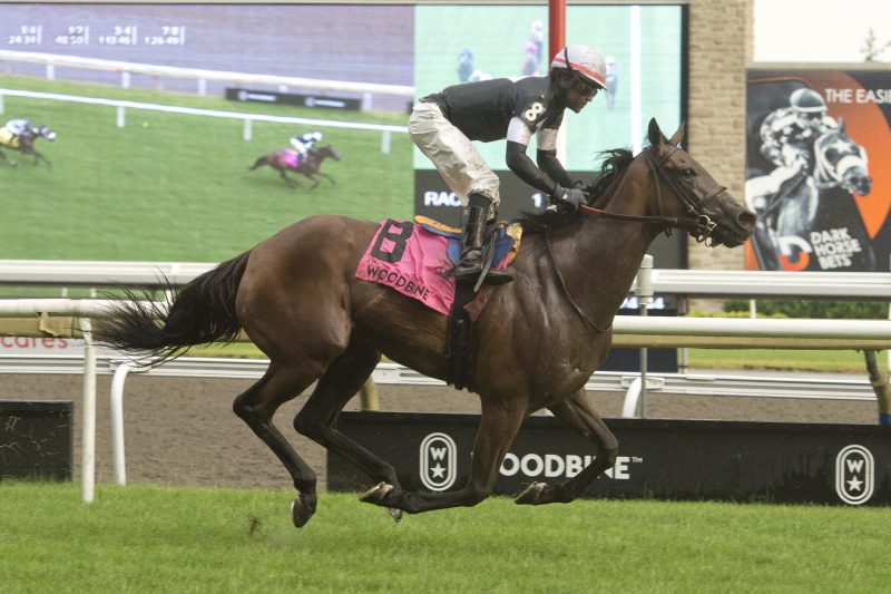 Fev Rover (IRE) and jockey Patrick Husbands winning the Nassau Stakes on July 1, 2023 at Woodbine (Michael Burns Photo)