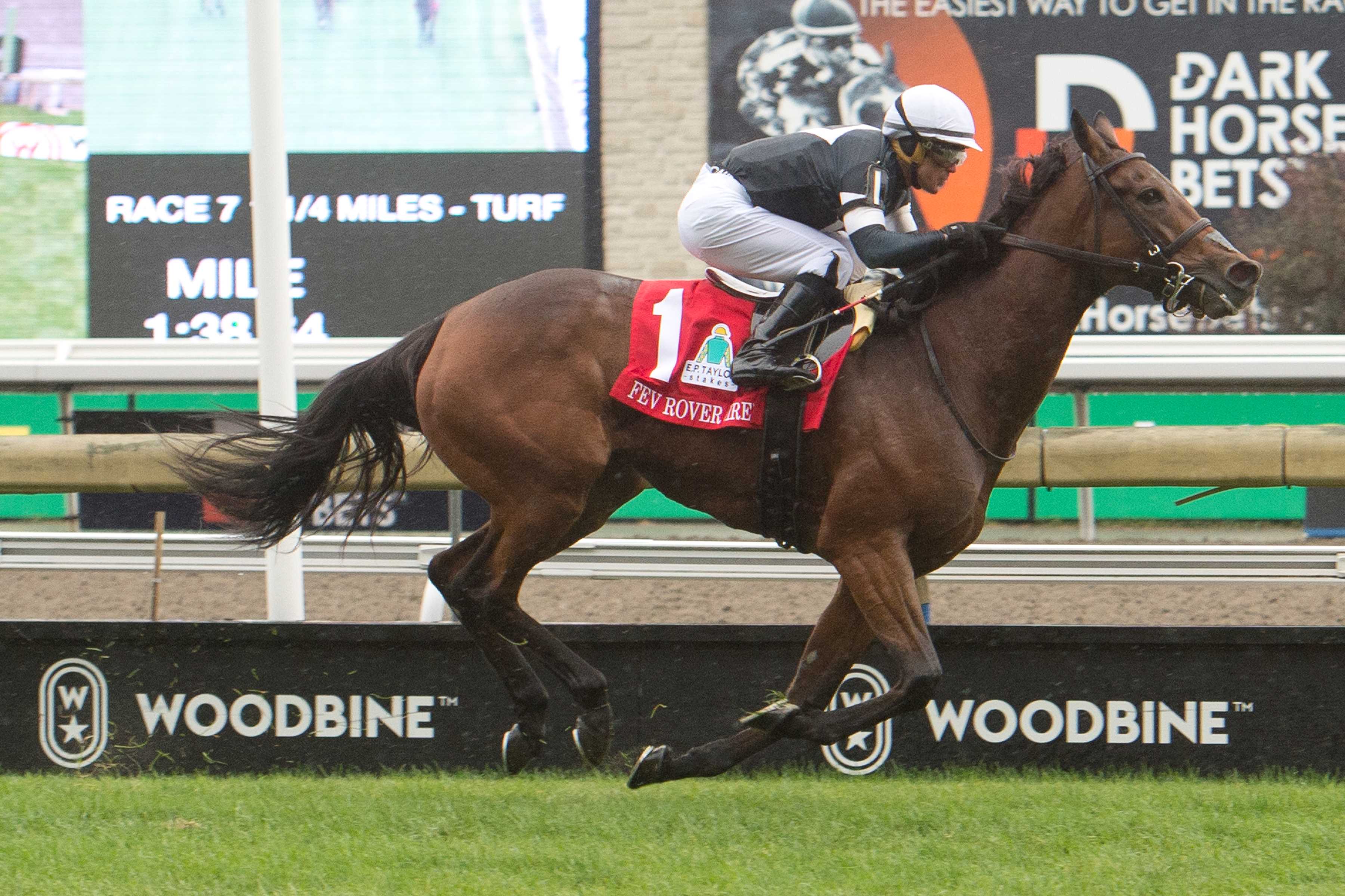Reigning Canadian Horse of the Year Fev Rover (IRE) goes for second straight Grade 2 Nassau score / Oceanic steps back into Grade 2 Highlander spotlight – Woodbine Racetrack
