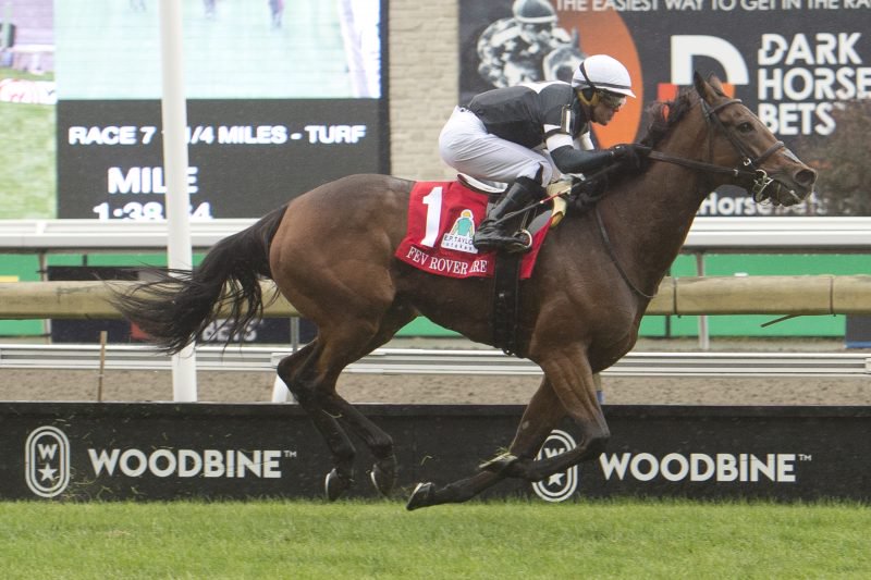 Fev Rover (IRE) and jockey Javier Castellano winning the E.P. Taylor Stakes on October 8, 2023 at Woodbine (Michael Burns Photo)