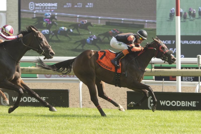 Canadian Sweetheart and jockey Leo Salles winning the Sweet Briar Too stakes on August 19, 2023 at Woodbine (Michael Burns Photo)