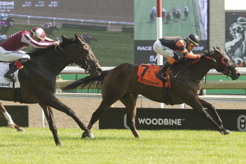 Canadiansweetheart and jockey Leo Salles winning the Sweet Briar Too Stakes on August 19, 2023 at Woodbine (Michael Burns Photo)