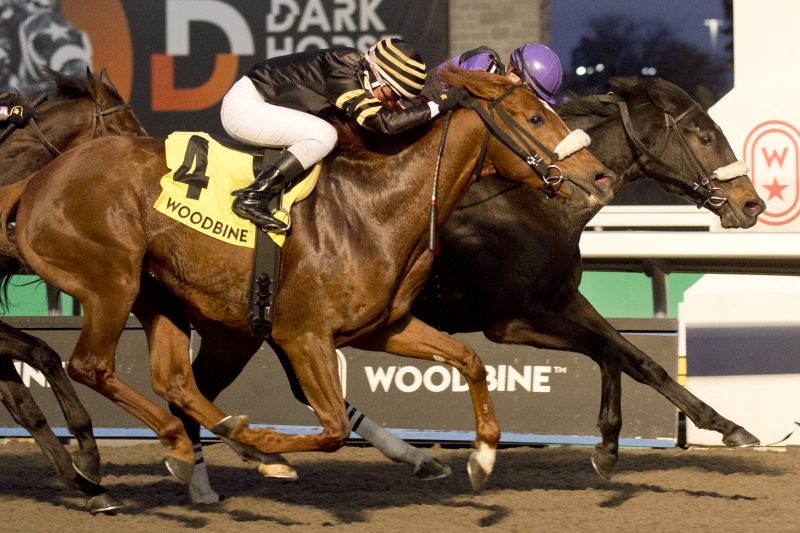 Secret Reserve and jockey Leo Salles winning the Steady Growth Stakes on December 10, 2023 at Woodbine (Michael Burns Photo)