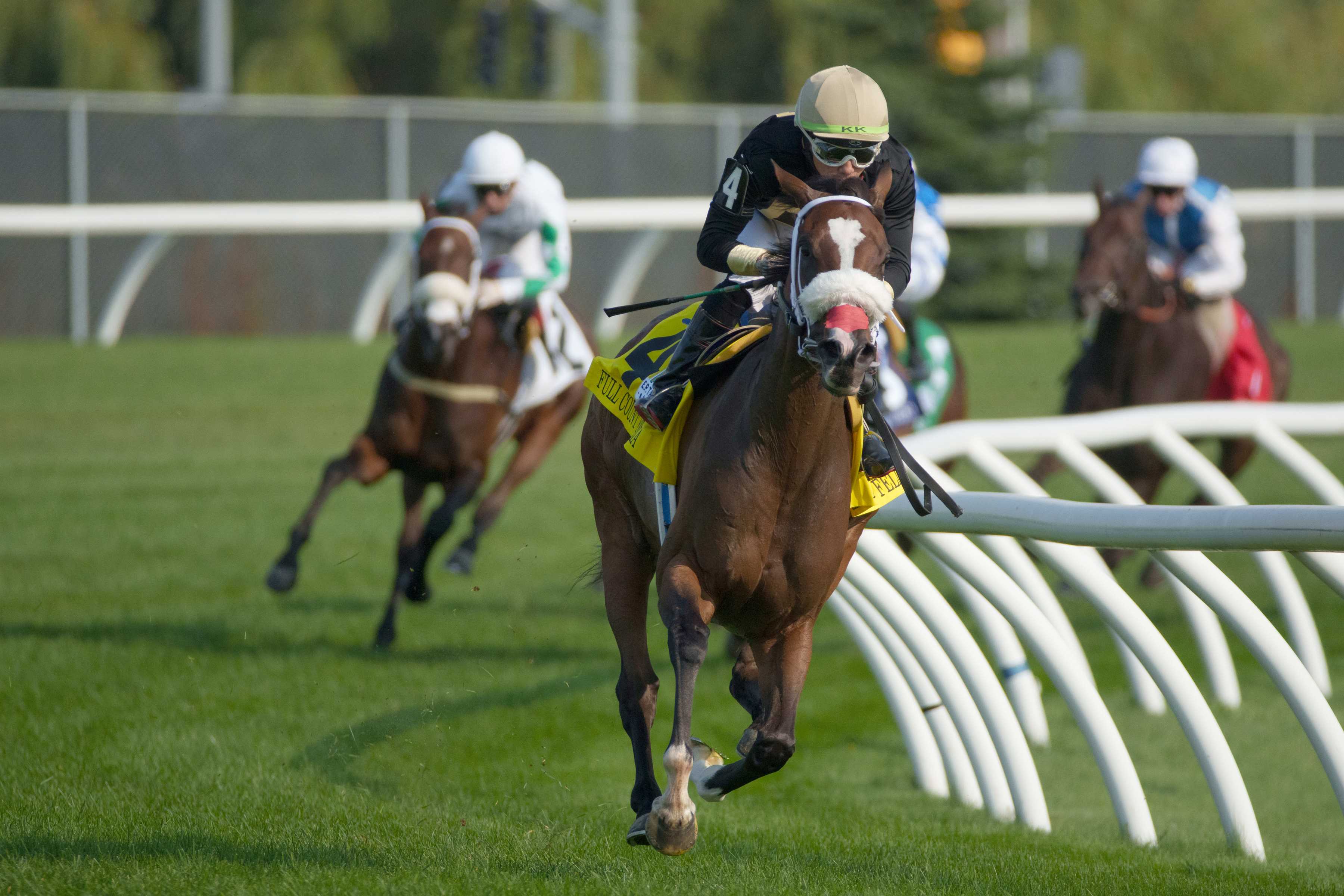 Full Count Felicia and jockey Kazushi Kimura winning the E.P. Taylor Stakes on September 14, 2024 (Michael Burns Photo)