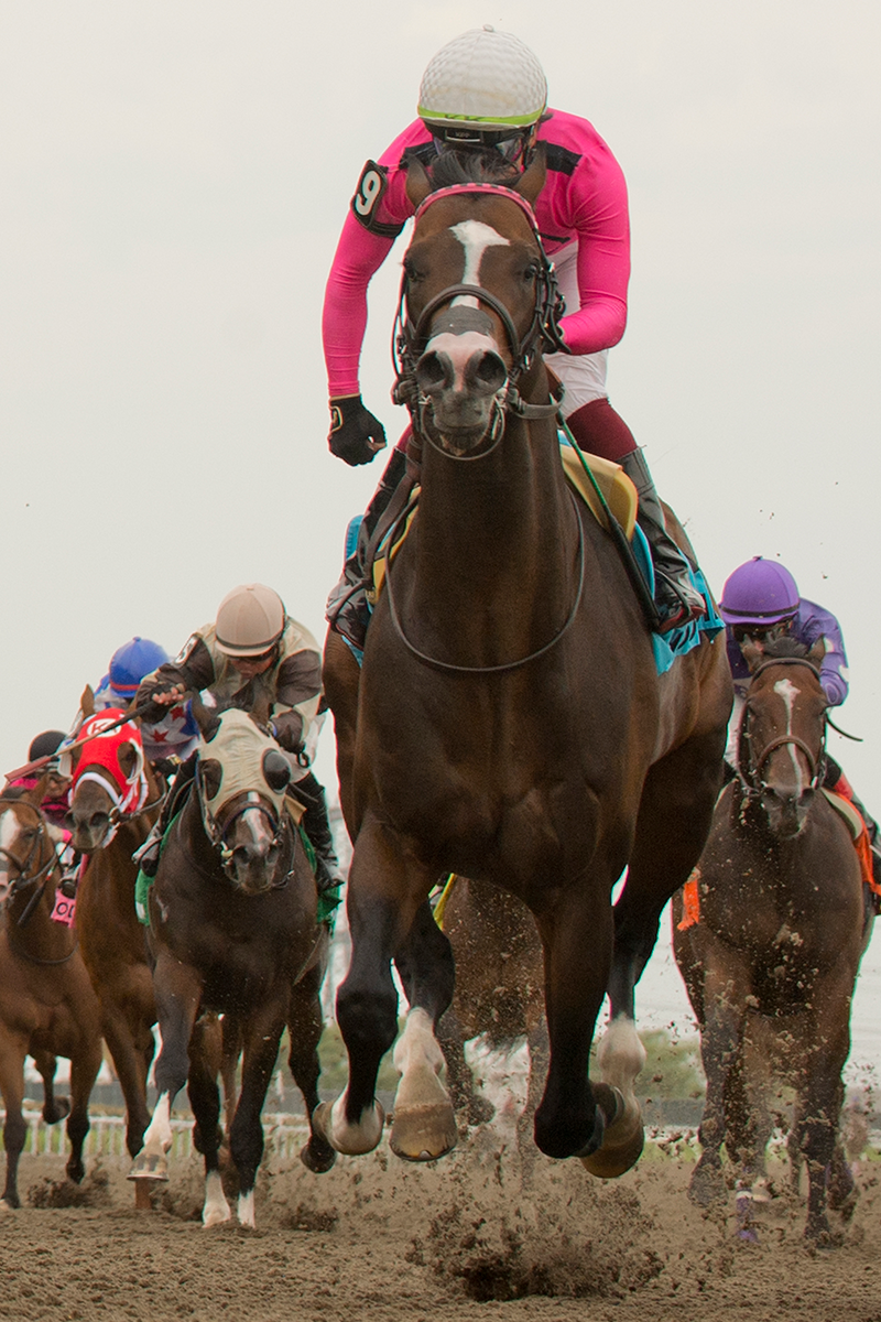Canada Day Stakes Race on Tapeta