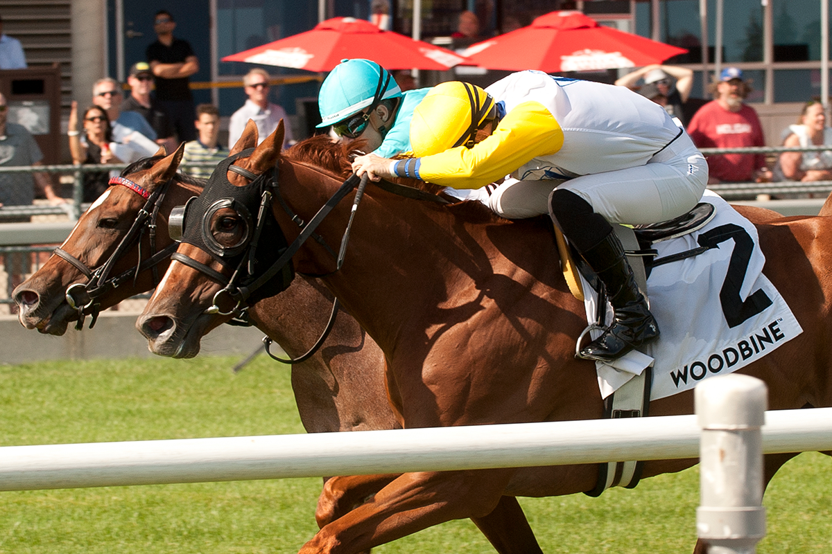 Canada Day Stakes Races