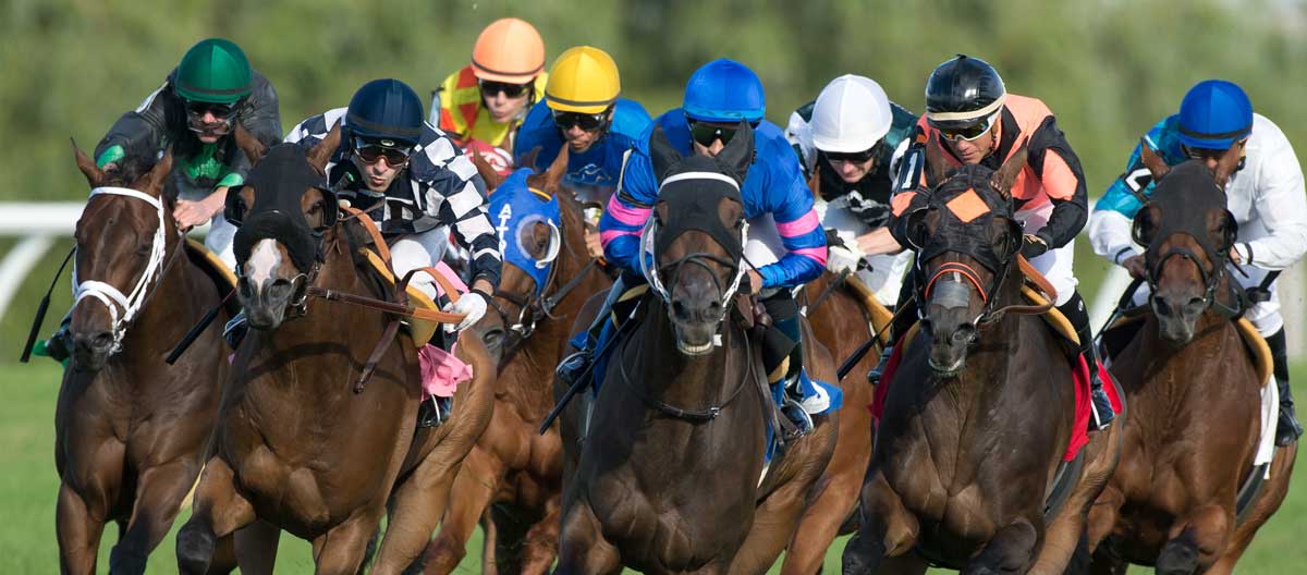 Canadian International Race Action at Woodbine