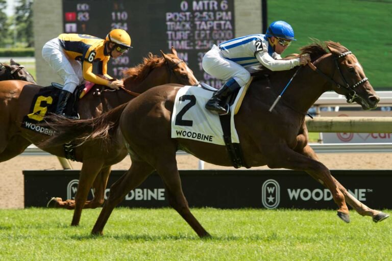 Fall Turf Showcase Featuring Canadian International Woodbine Racetrack
