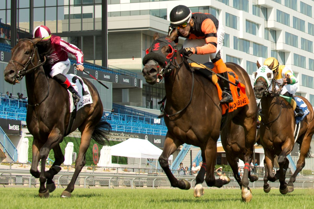 Canadiansweetheart and jockey Leo Salles winning the Sweet Briar Too Stakes on August 19, 2023 at Woodbine (Michael Burns Photo)