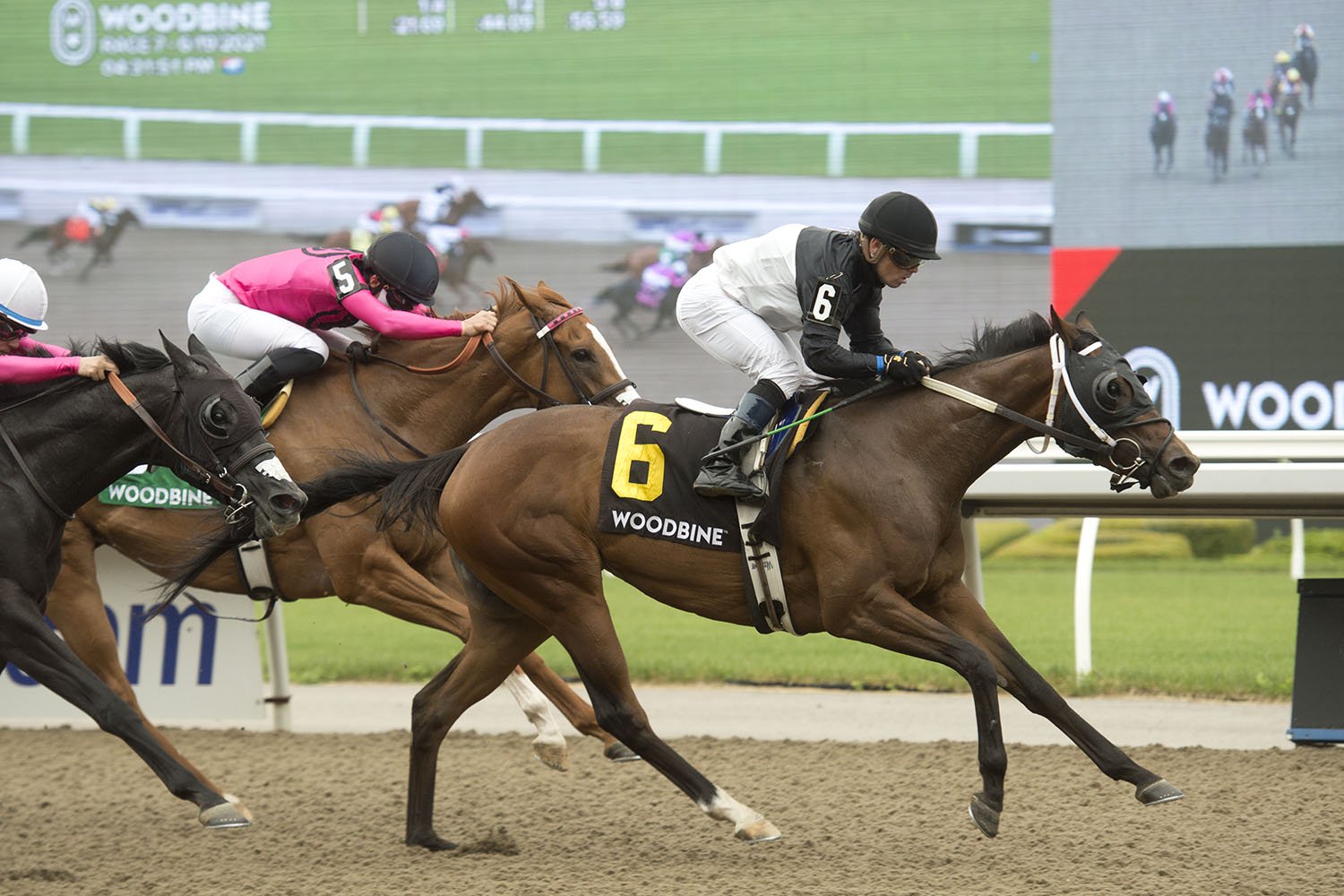 Can’t Buy Love and jockey Justin Stein winning the $125,000 Star Shoot Stakes on Saturday, June 19 at Woodbine Racetrack. (Michael Burns Photo)