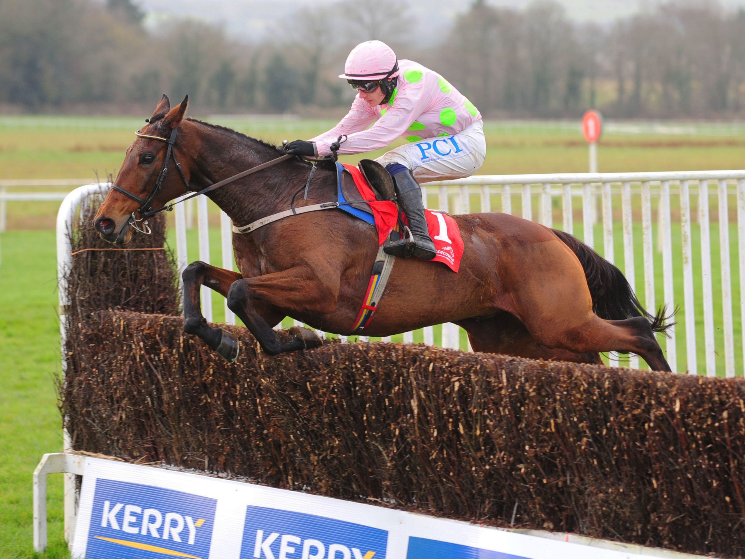 CHACUN POUR SOI and Paul Townend jump the last to win The Kerry Group Hilly Way Steeplechase.