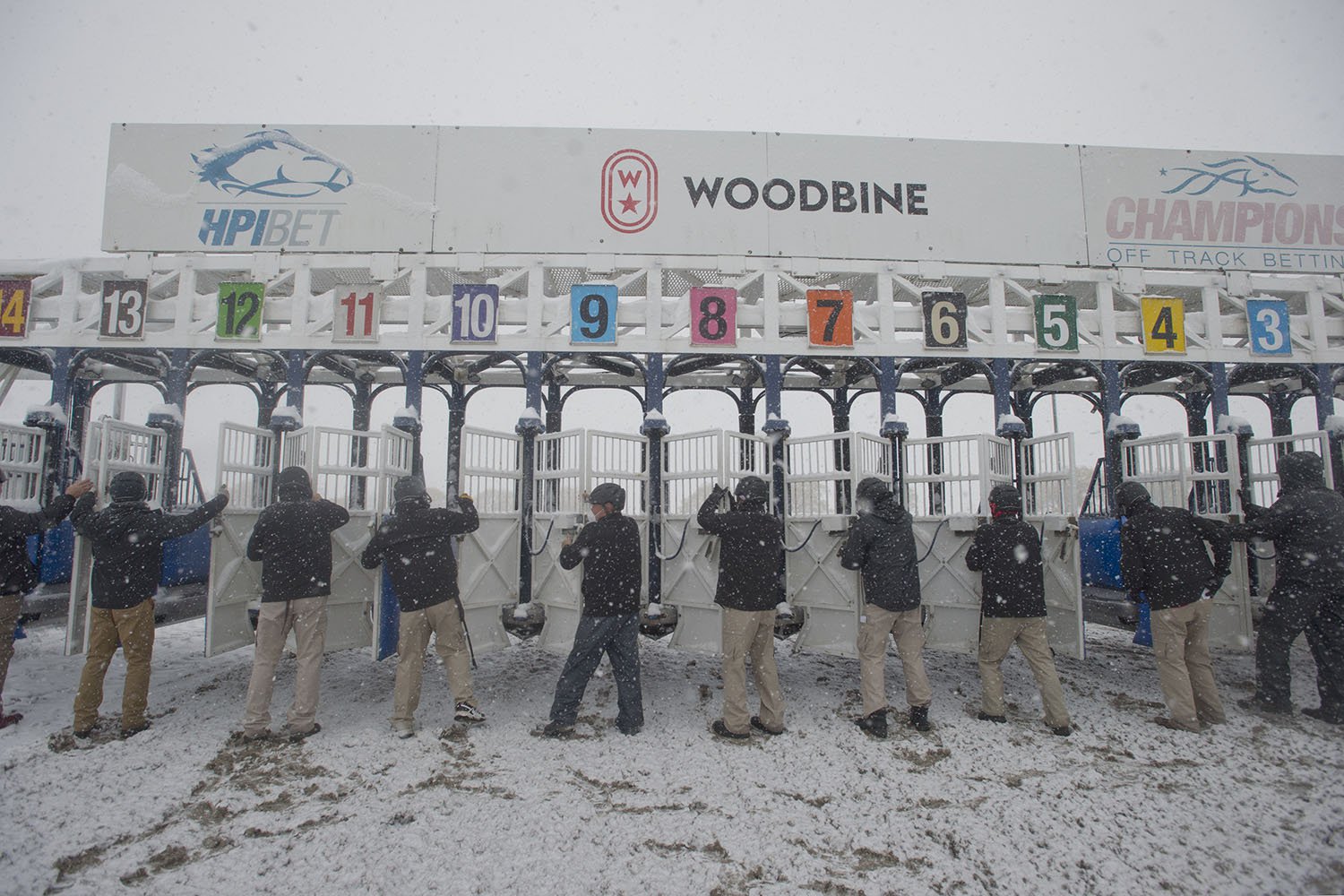 2020 Year In Review Woodbine Racetrack