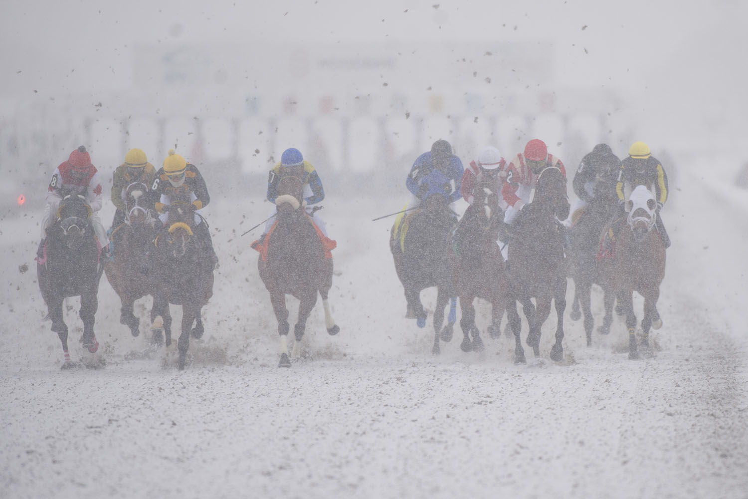 Racing action from closing day of the 2020 meet on Sunday, Nov. 22 at Woodbine Racetrack. (Michael Burns Photo)