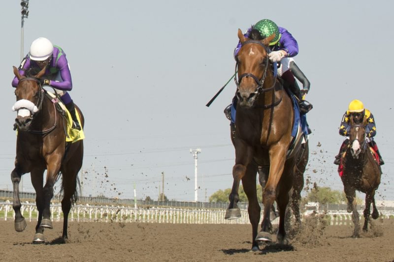 Collecting Flatter (right) defeats Speedy River in the My Dear Stakes. (Michael Burns photo)