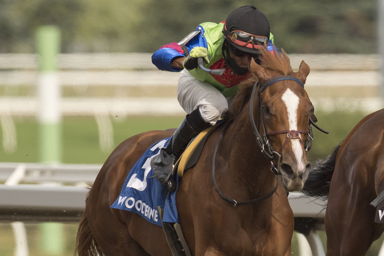 Thirtysix fillies remain eligible to the Woodbine Oaks Woodbine