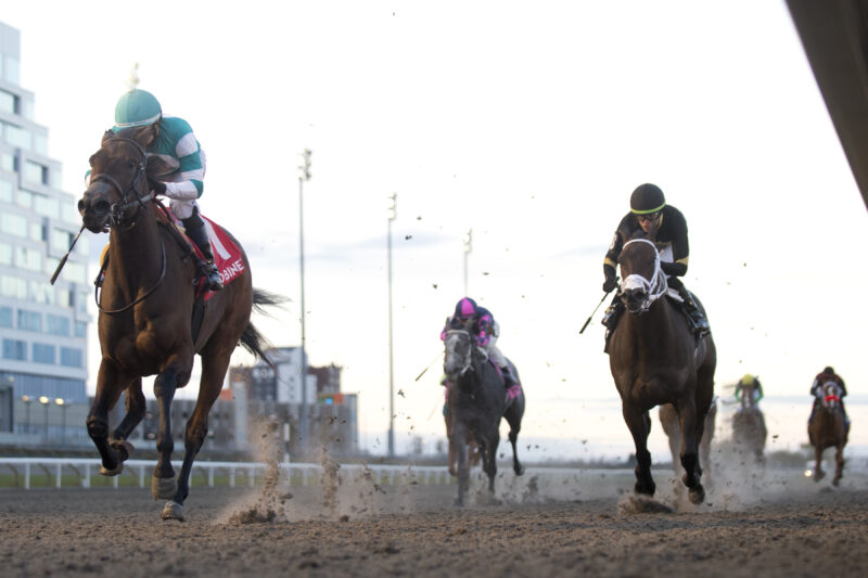 Bossy Candy and jockey Rafael Hernandez winning the Shady Well Stakes on November 22, 2025 at Woodbine (Michael Burns Photo)