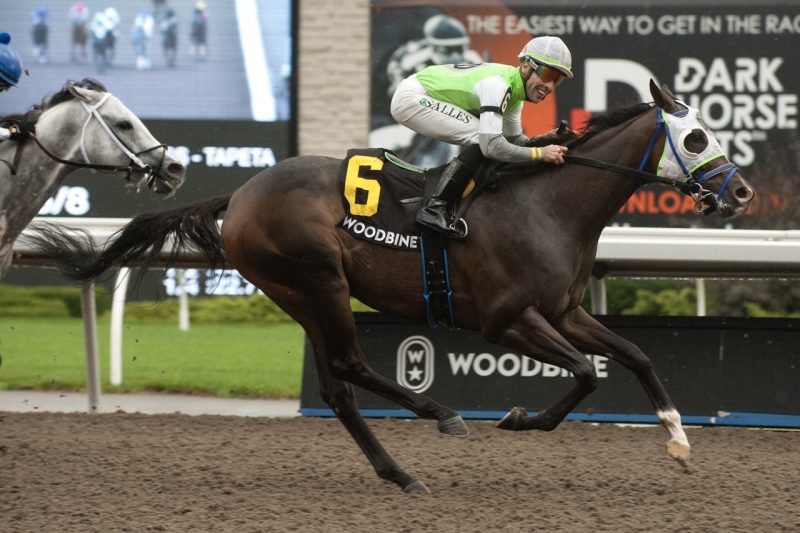 Jockey Leo Salles guides Lucky Score to victory in the Vigil Stakes on Sunday at Woodbine. (Michael Burns Photo)