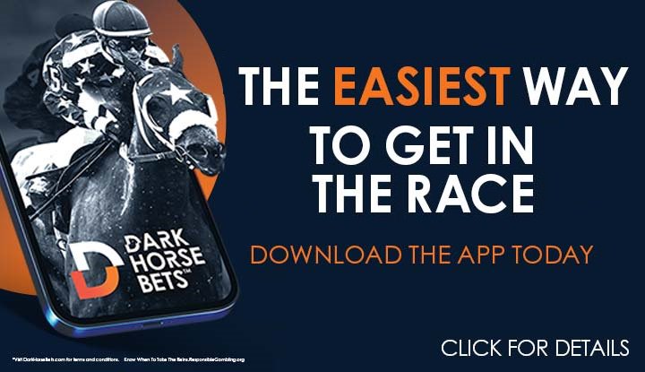 Never bet on horse racing before? Dark Horse Bets is the easiest horse betting app