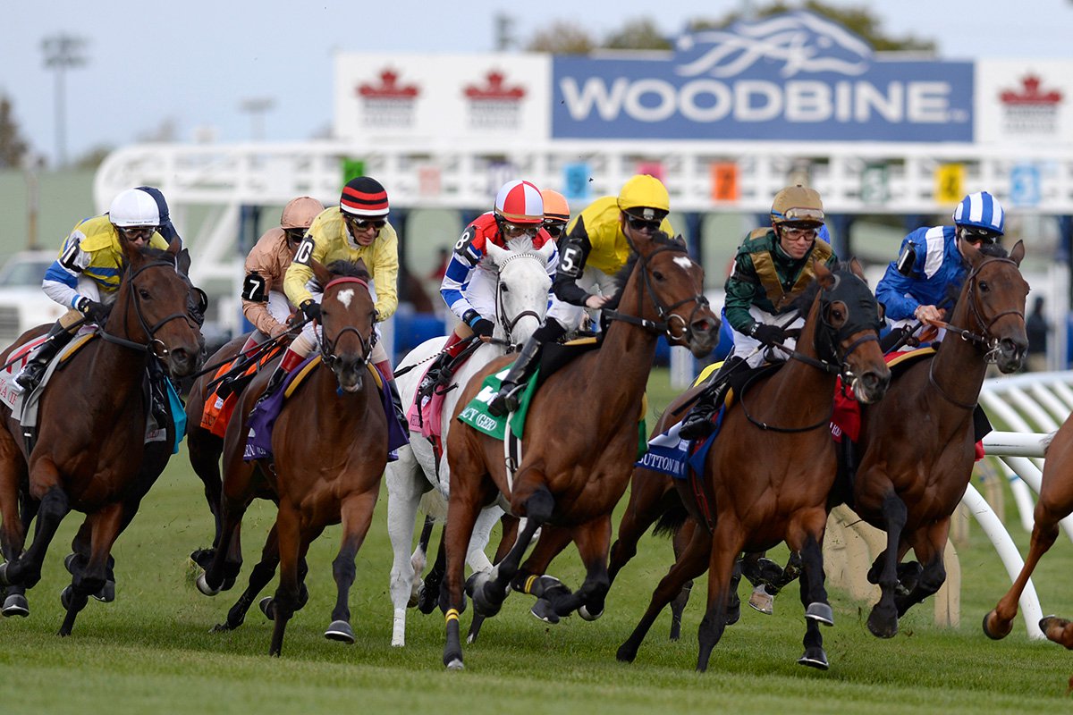 Thoroughbred Opening Day Woodbine Racetrack