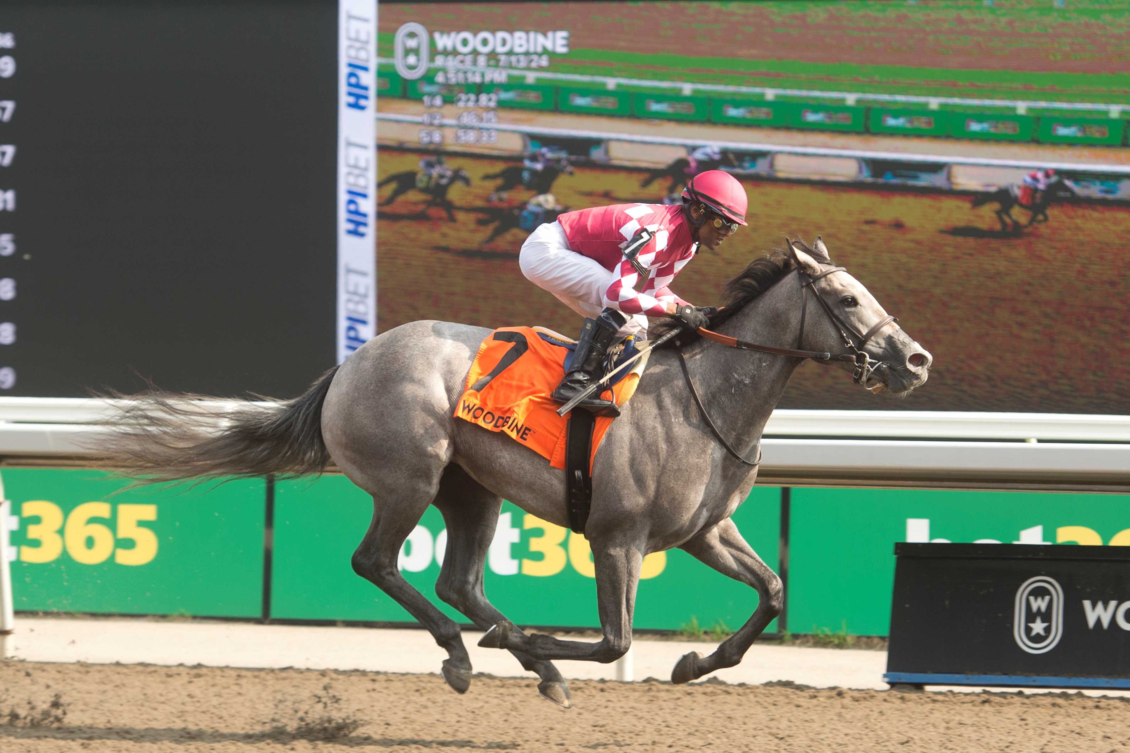 Bullet and jockey Patrick Husbands winning the My Dear Stakes on July 13, 2024 at Woodbine (Michael Burns Photo)