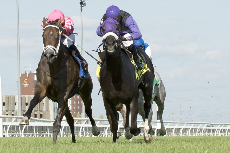 Outlaw Kid and Kazushi Kimura winning the Vice Regent Stakes on August 5, 2023 at Woodbine (Michael Burns Photo)