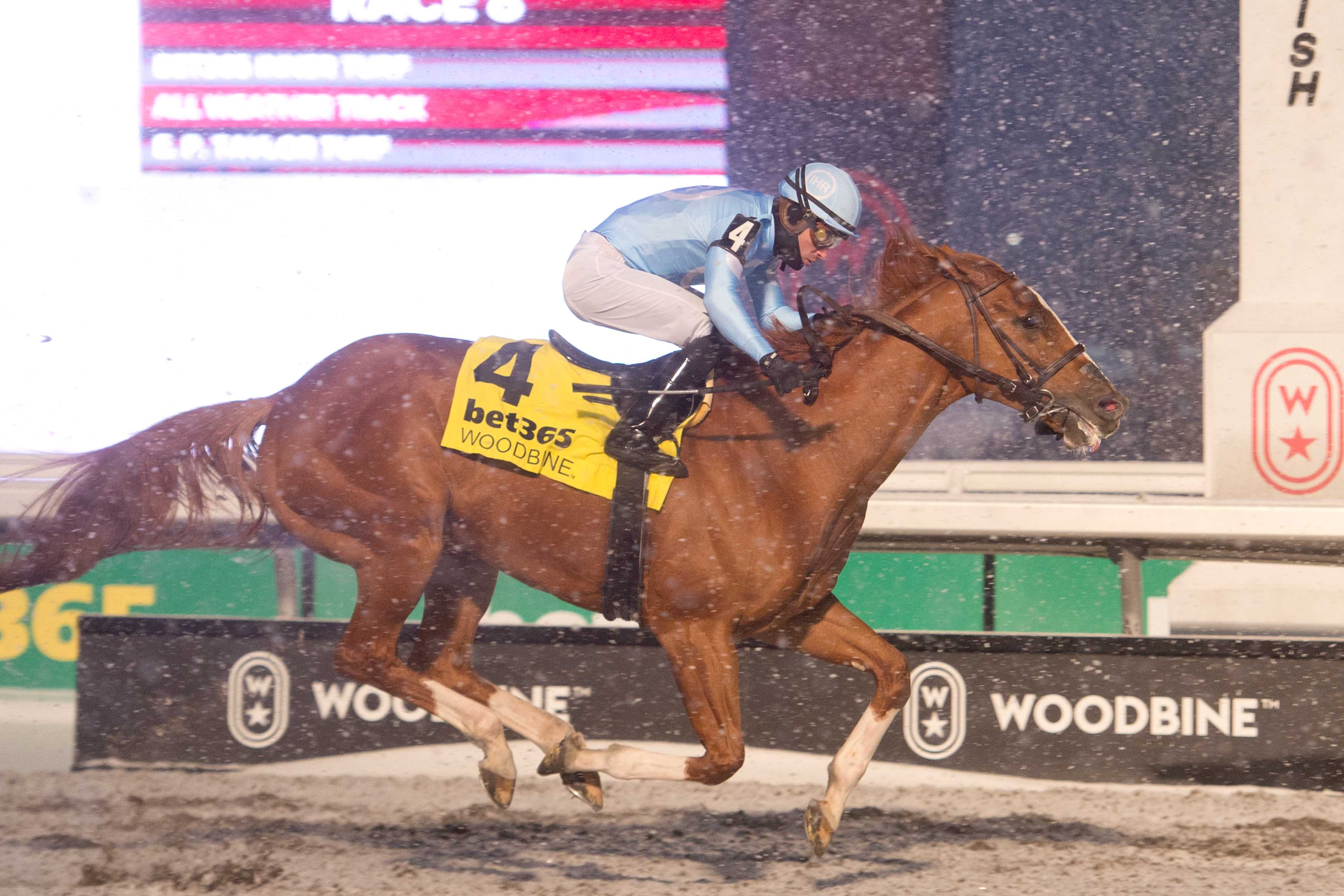 Get Smokin and jockey Sahin Civaci winning the Valedictory Stakes (G3) on December 7, 2024 at Woodbine (Michael Burns Photo)