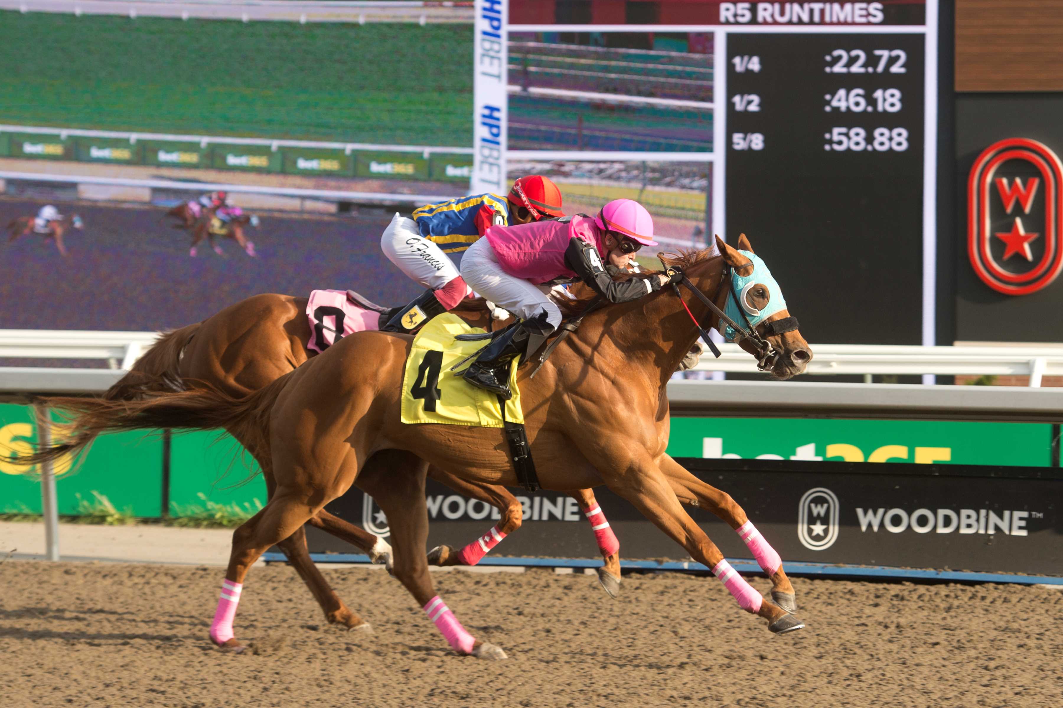 Onandonandon and jockey Austin Adams winning Race 5 on May 23, 2024 at Woodbine (Michael Burns Photo)